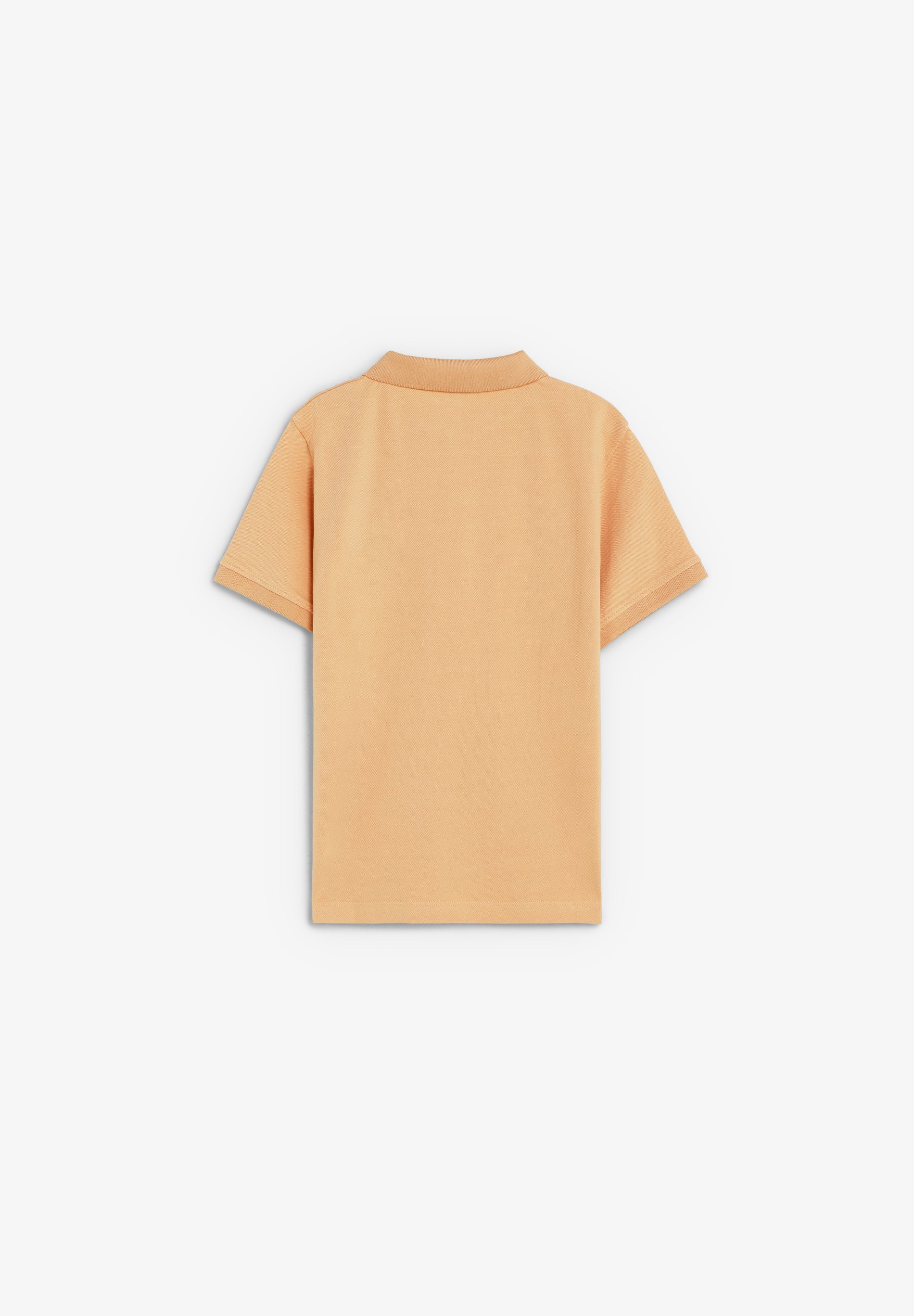 BASIC POLO SHIRT WITH SKULL - Image 6