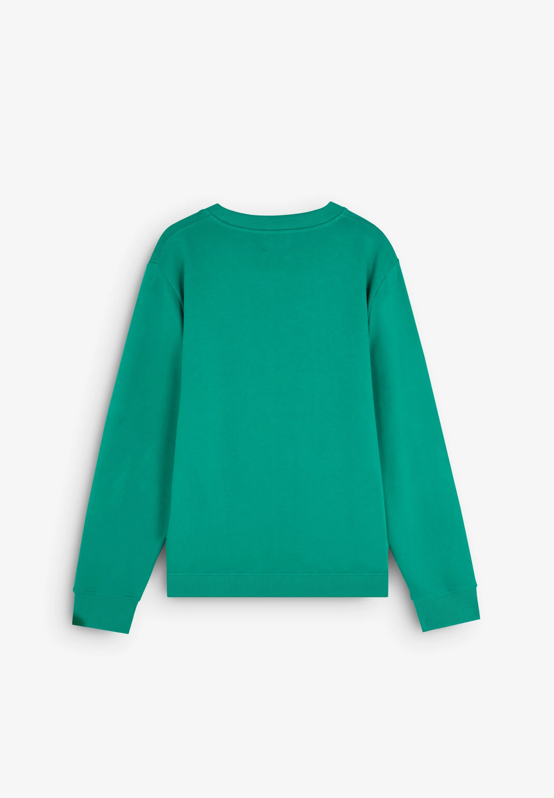 BASIC SWEATSHIRT WITH EMBROIDERED SKULL - Image 2